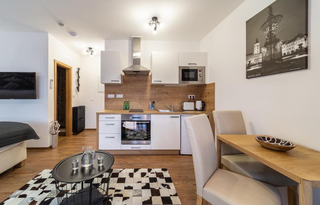 Aviatik Apartments Ceske Budejovice Luaran gambar